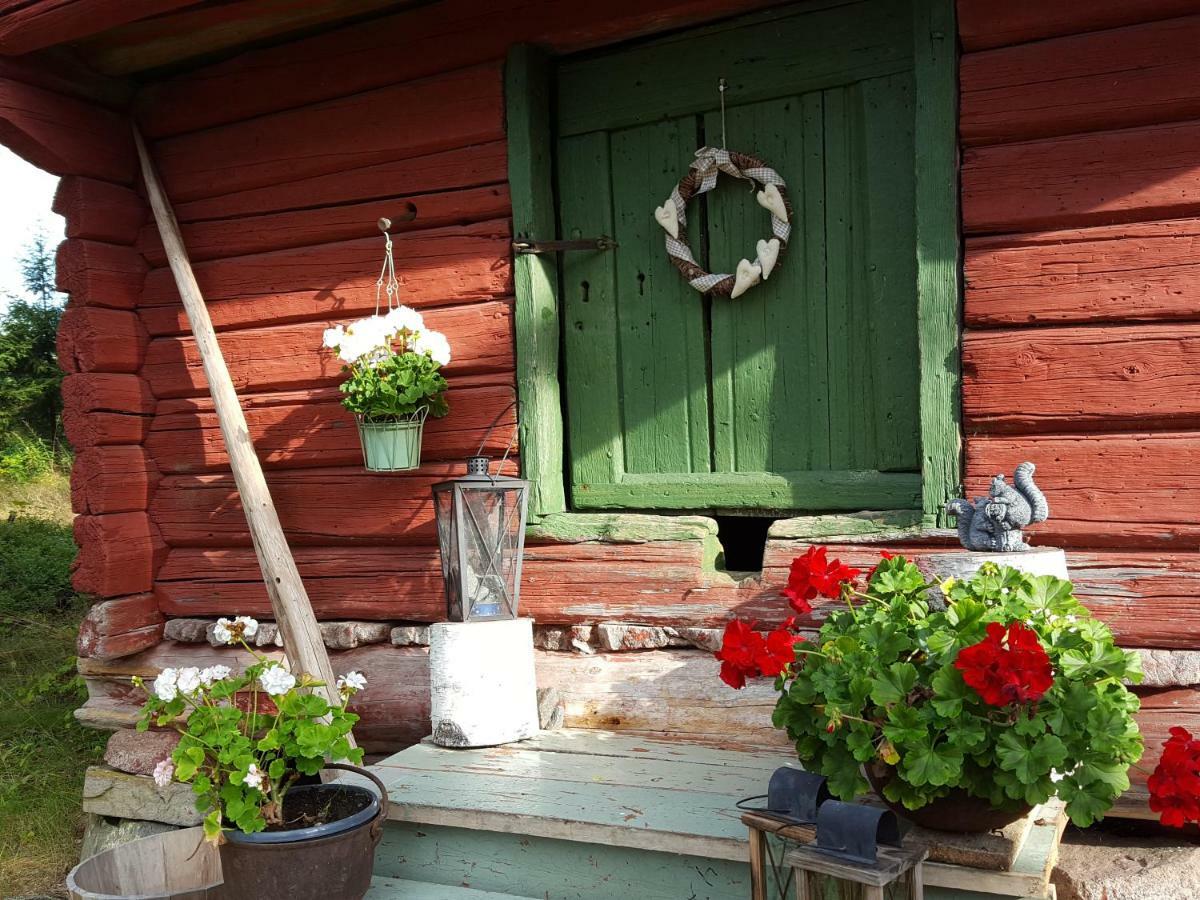 Villa Vuorenpaeae Tammela Экстерьер фото