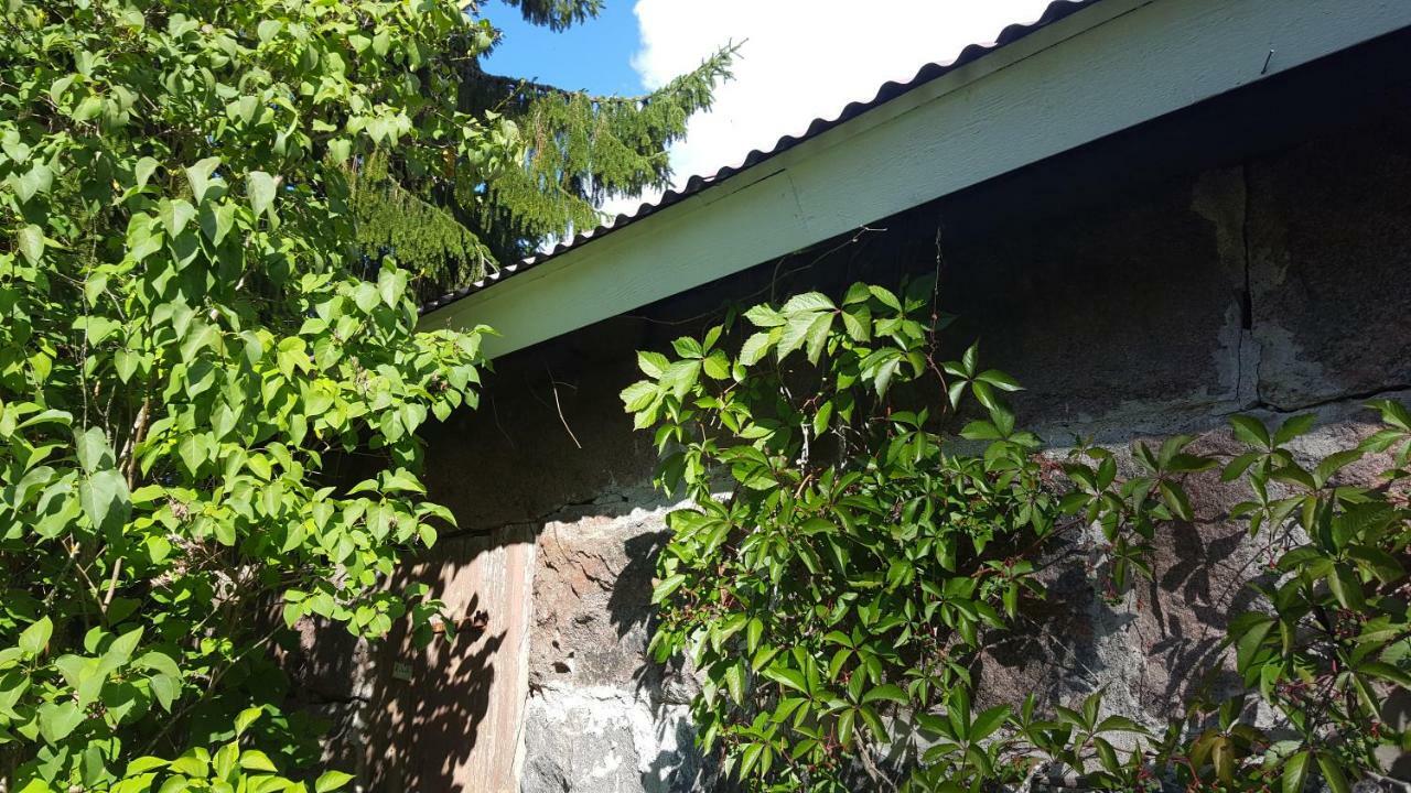 Villa Vuorenpaeae Tammela Экстерьер фото