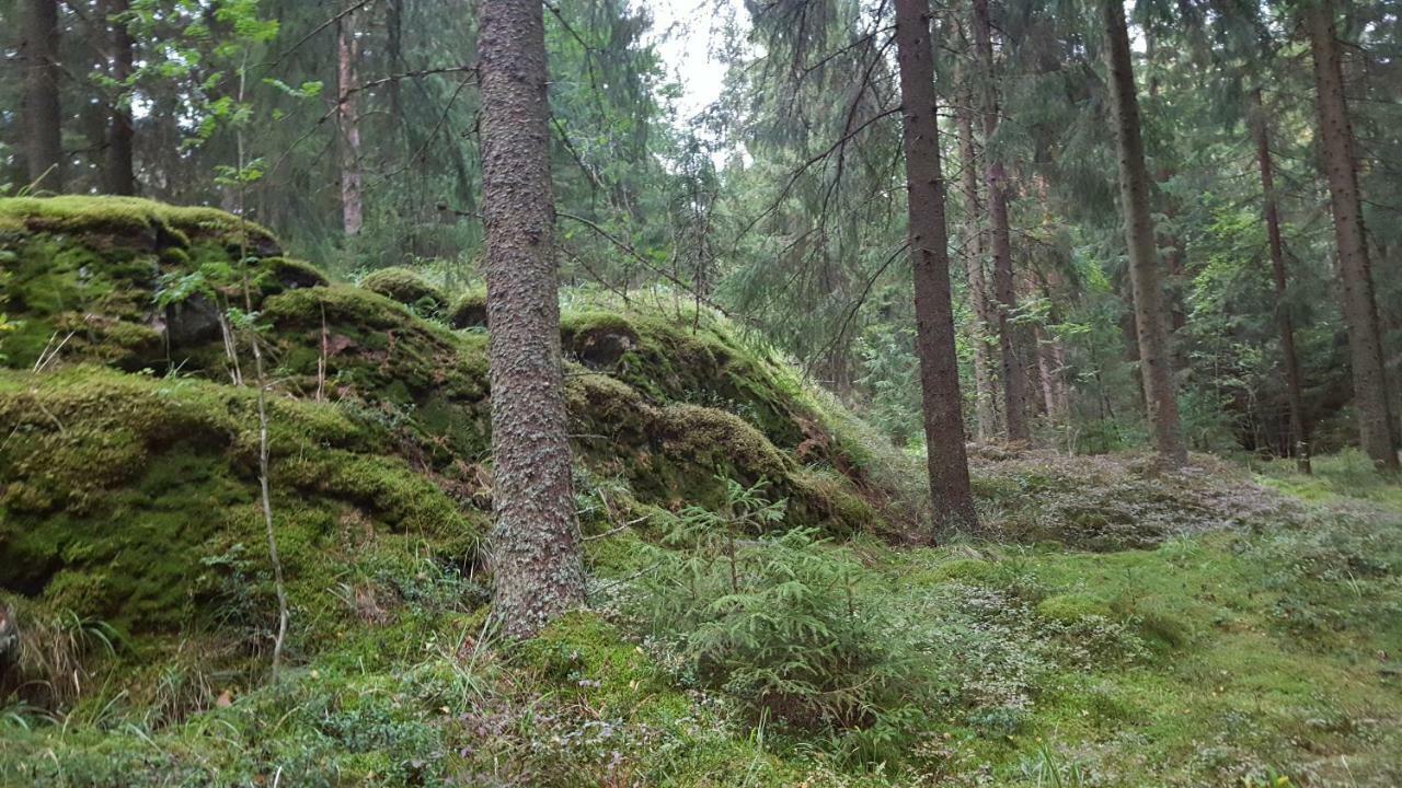 Villa Vuorenpaeae Tammela Экстерьер фото